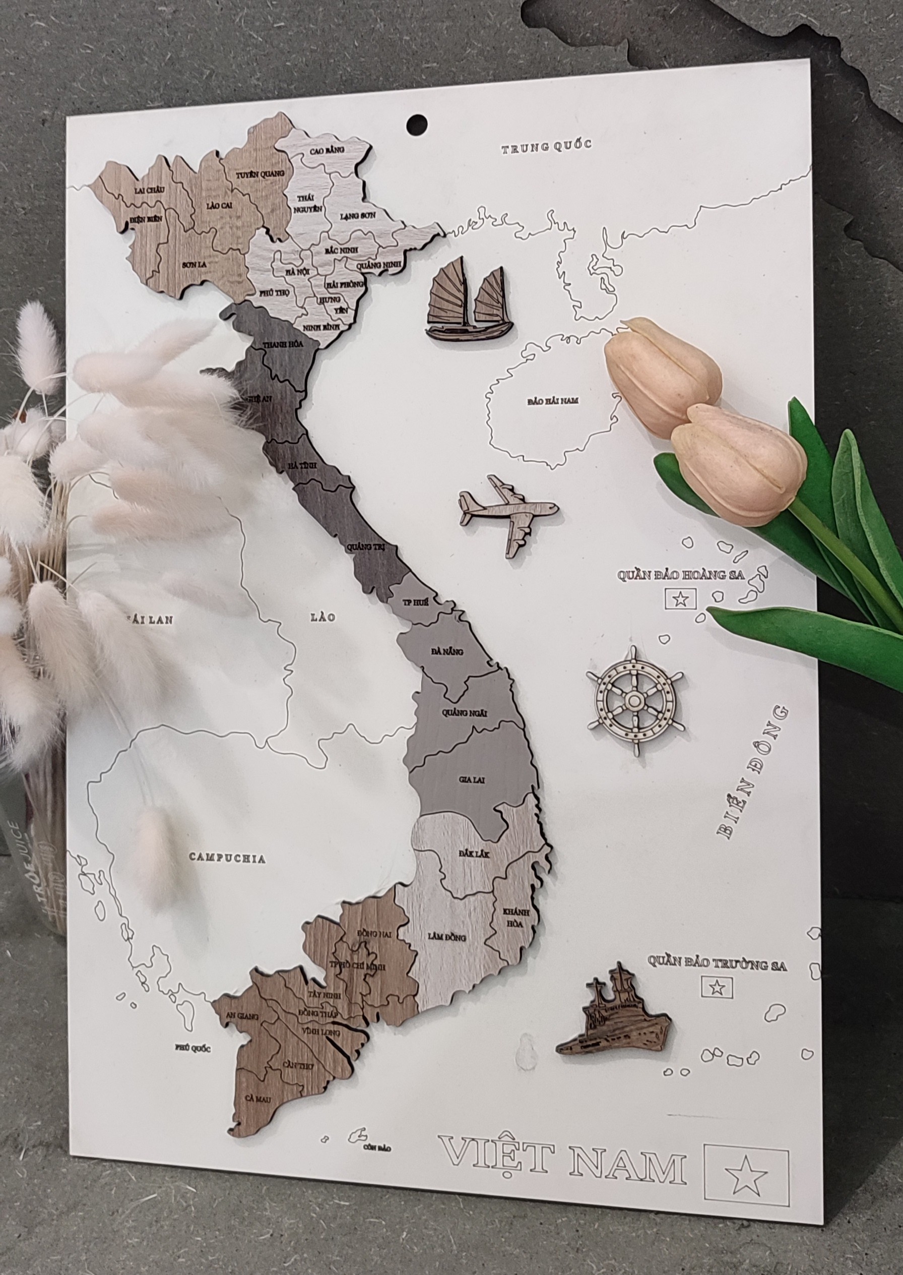 Chưa có ảnh