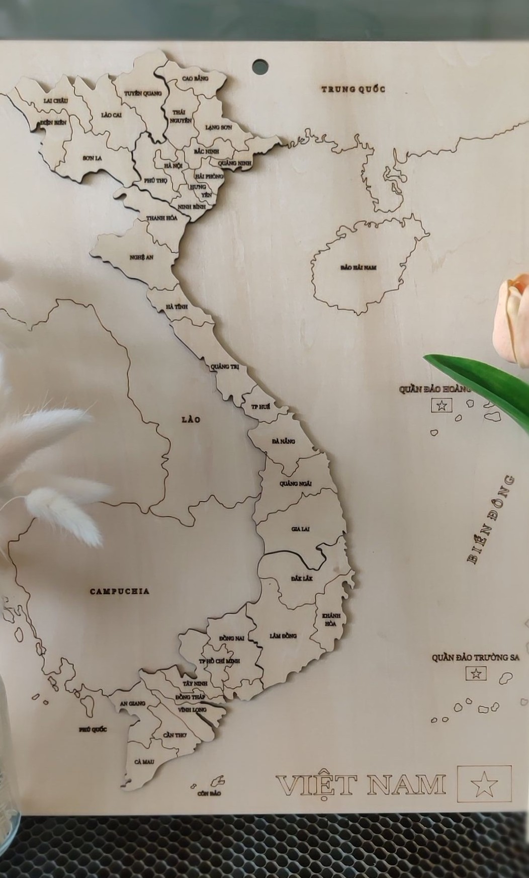 Chưa có ảnh